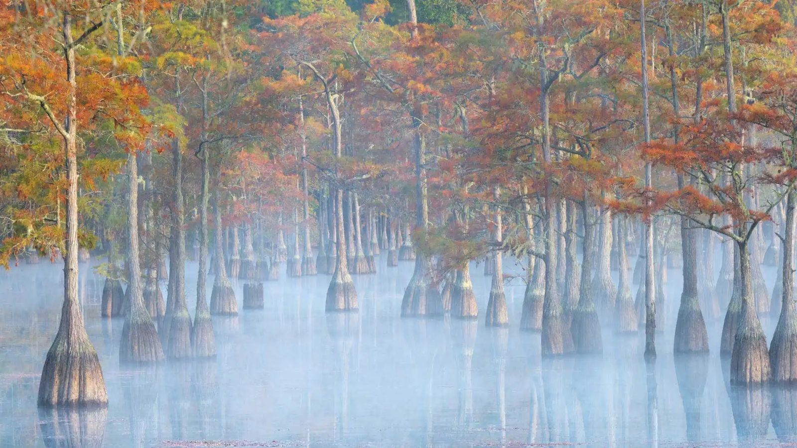 必应壁纸 2024年10月21日 在秋天里傲然挺立