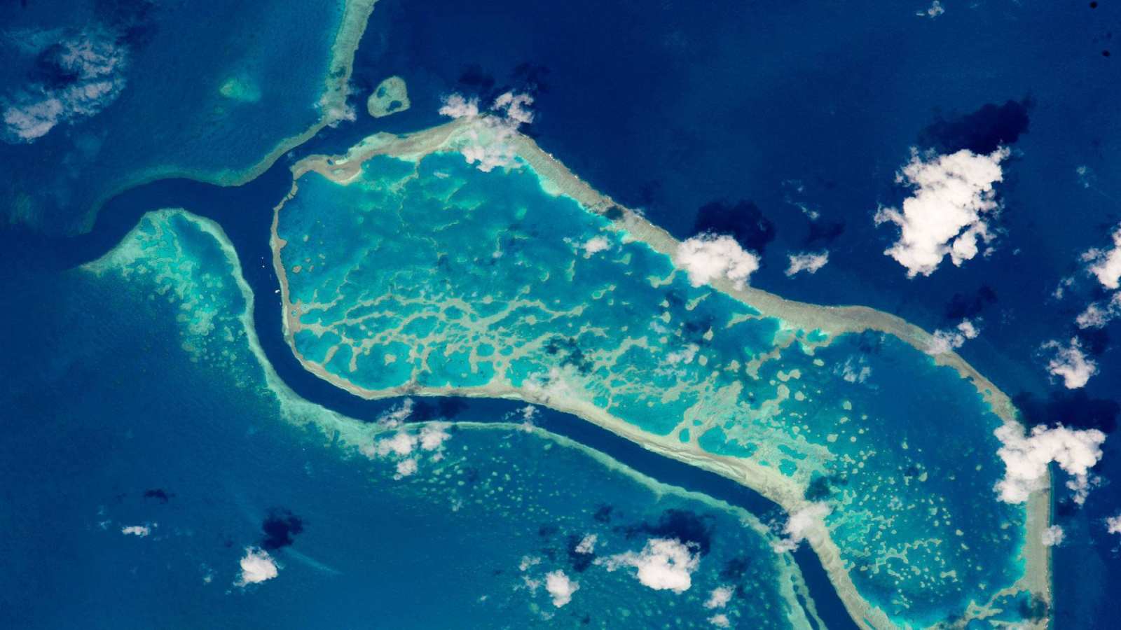 必应壁纸 2017年2月1日 从国际空间站拍摄的大堡礁