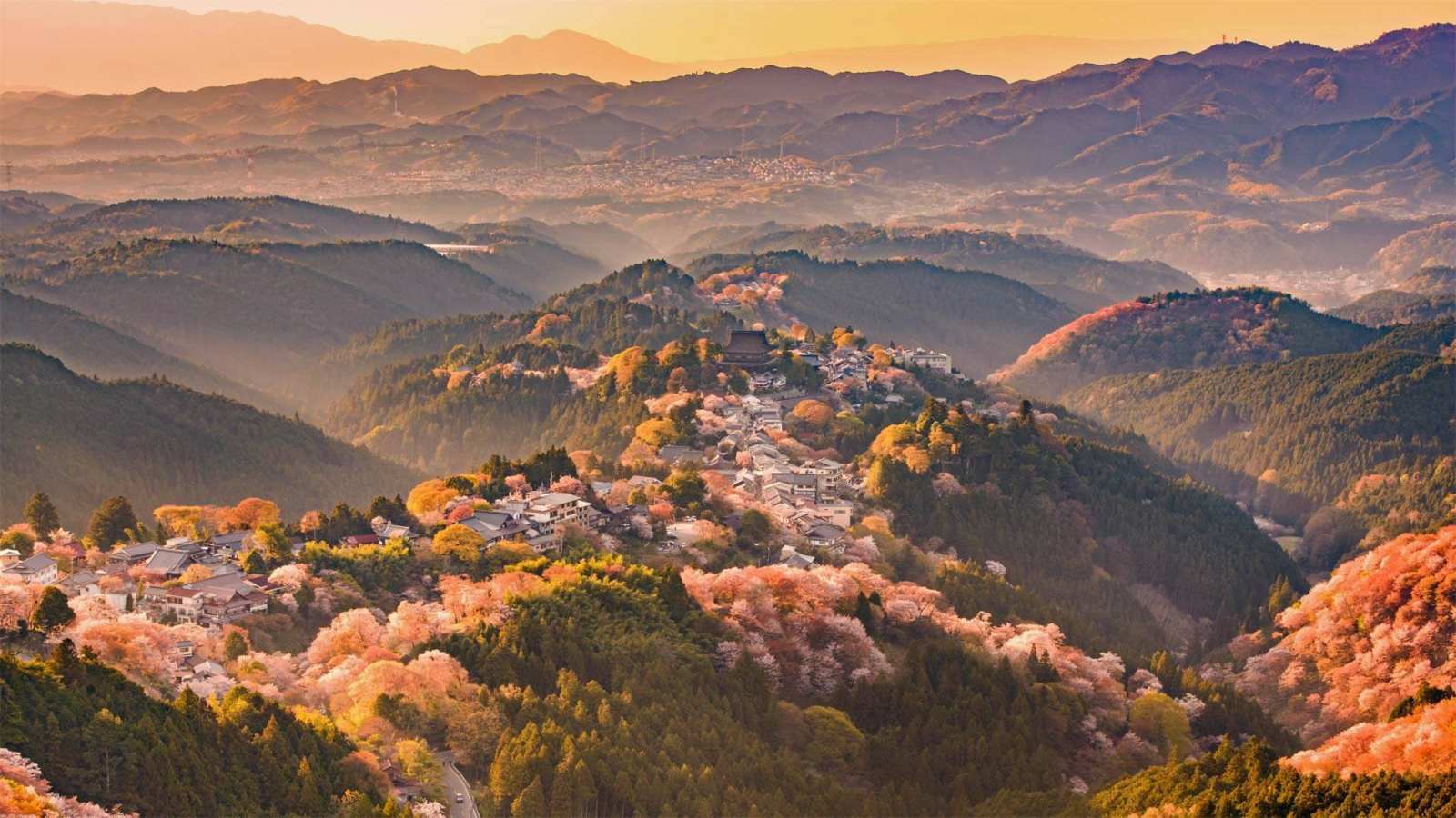 必应壁纸 2021年4月11日 吉野山，日本奈良