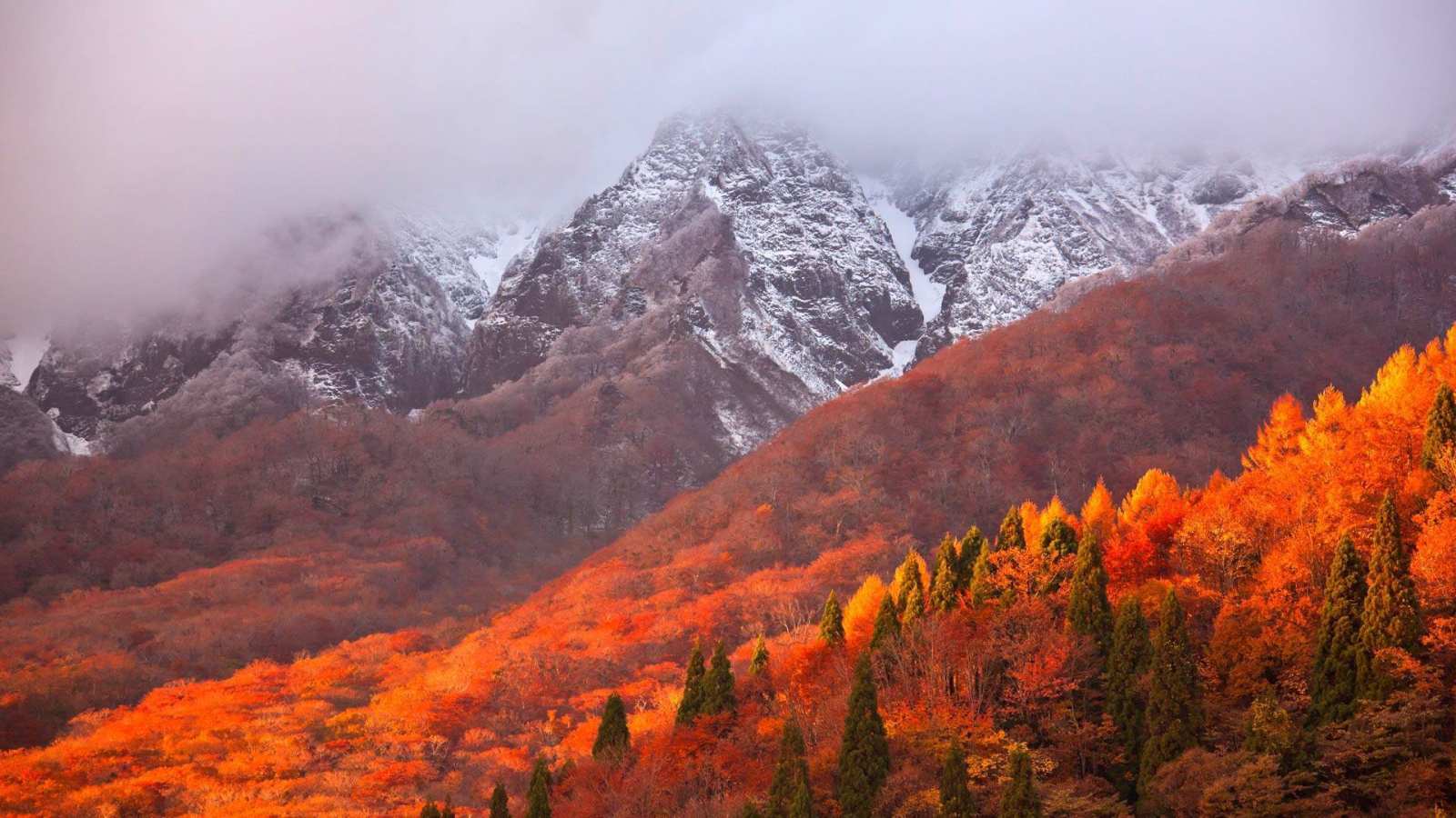 必应壁纸 2018年11月1日 大山，日本神奈川县