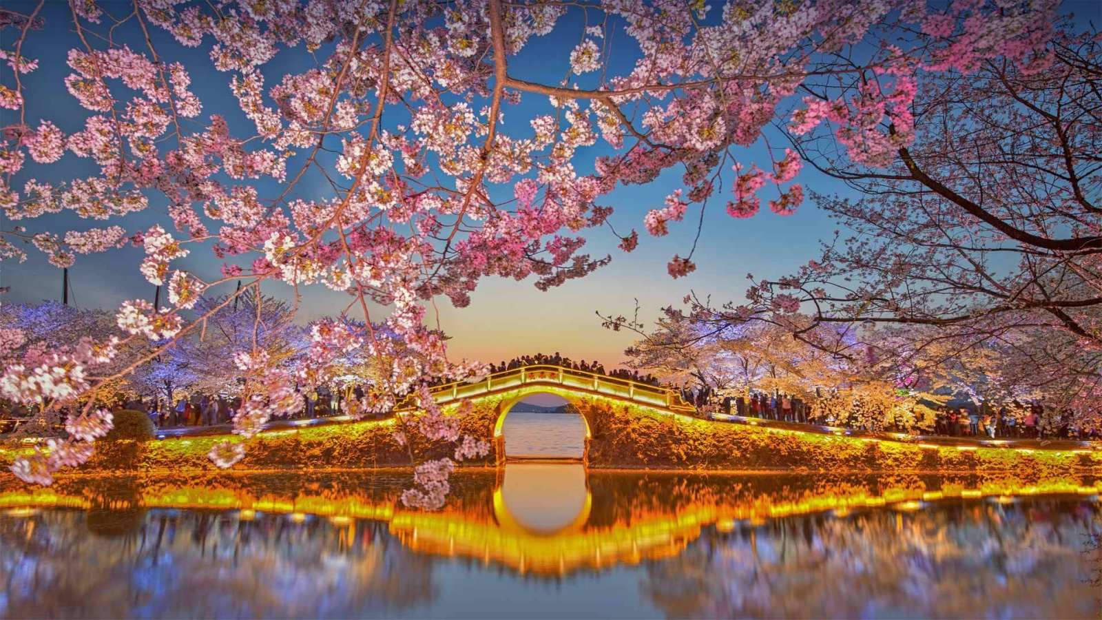 必应壁纸 2022年4月3日 太湖畔的春天