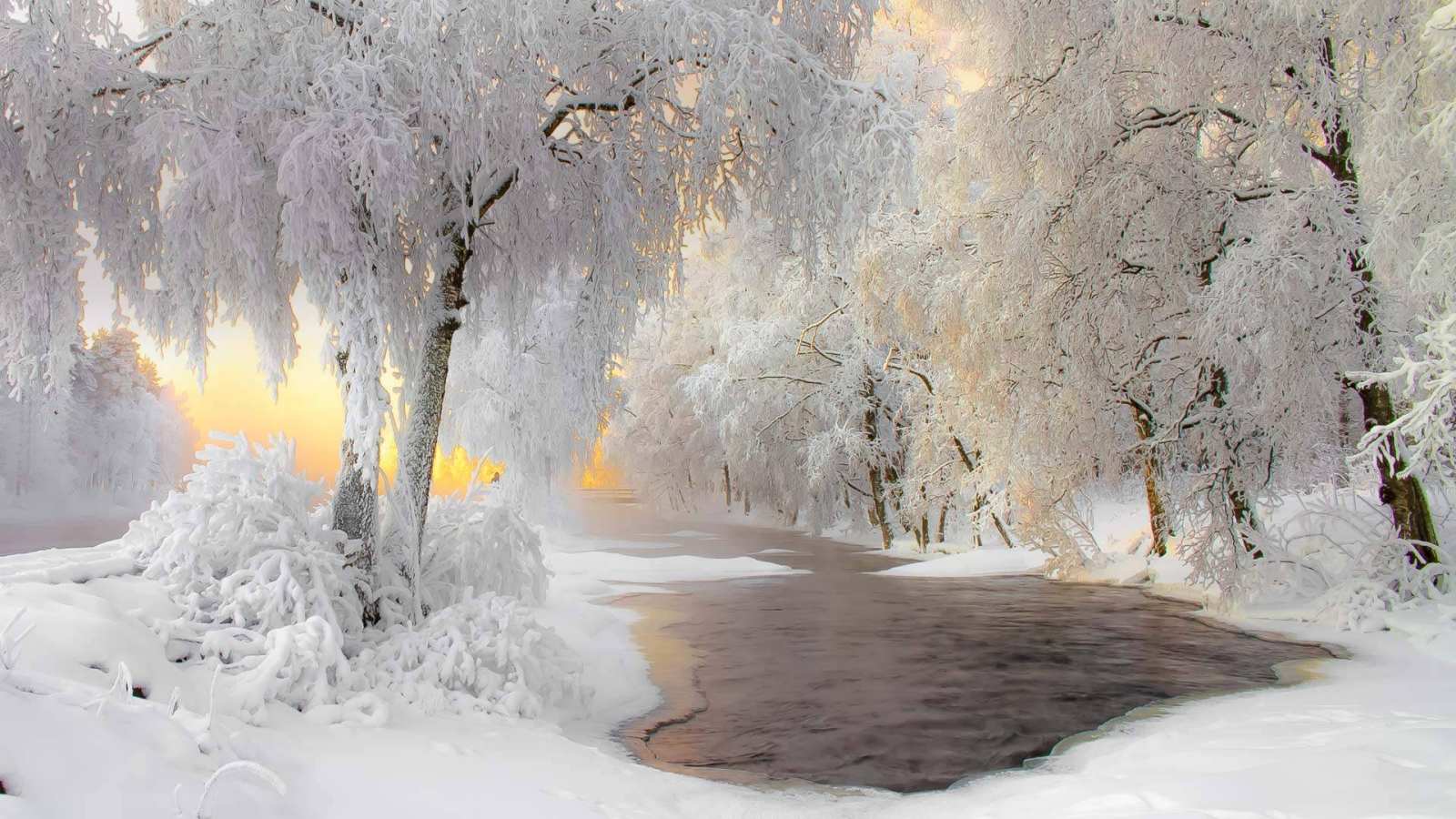 必应壁纸 2018年1月28日 库赫莫附近的冬日美景，芬兰