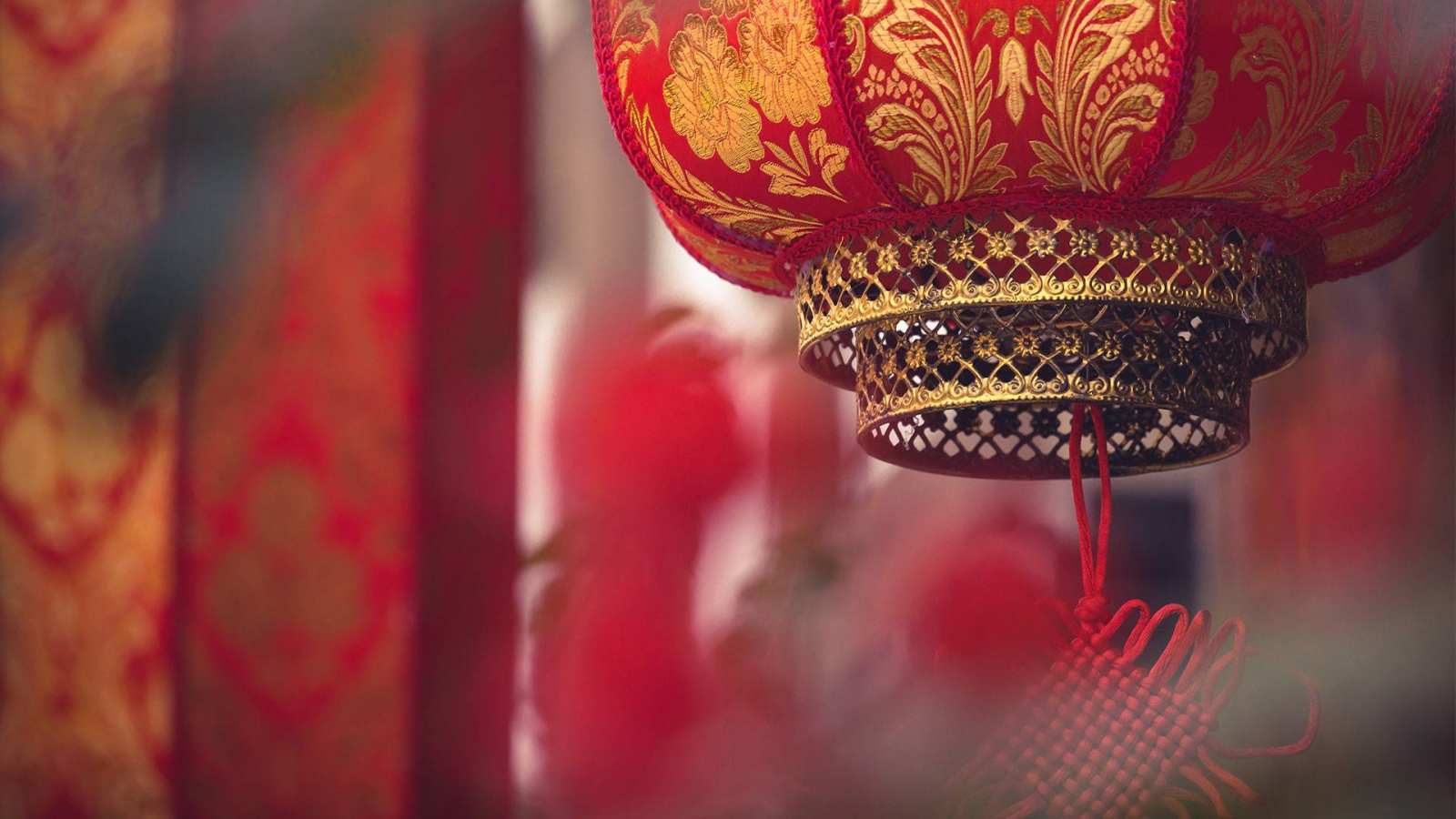 必应壁纸 2022年2月15日 点亮一盏花灯
