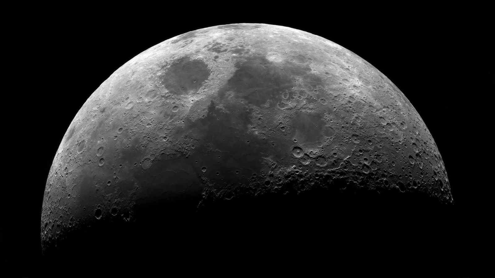 必应壁纸 2025年7月20日 在月光下起舞