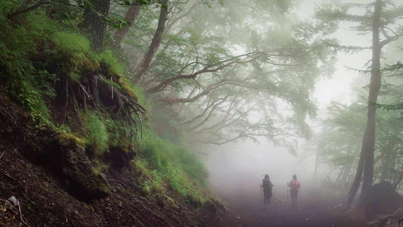 必应壁纸 2018年8月11日 沿着富士山的吉田步道徒步旅行，日本