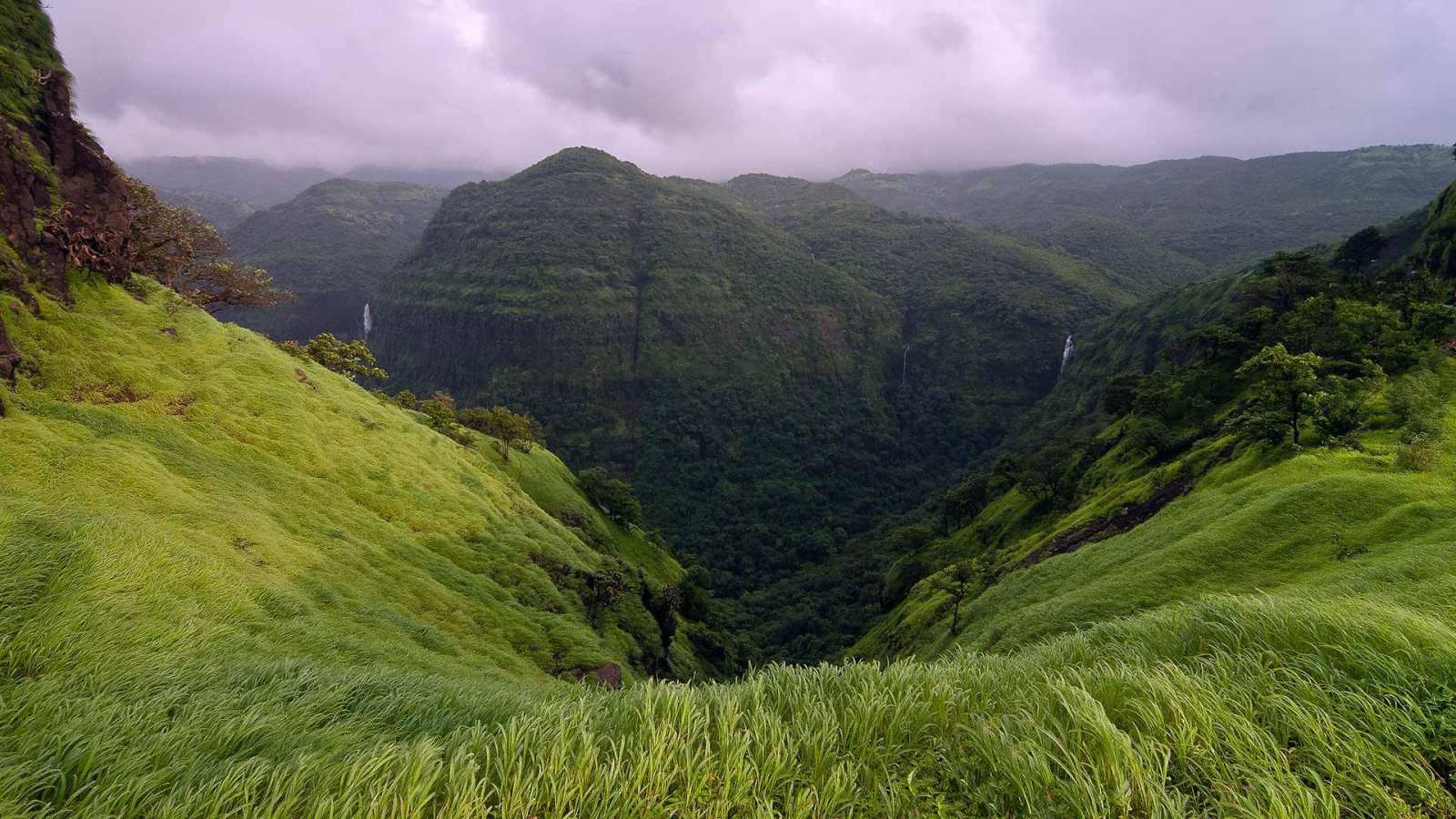 必应壁纸 2021年5月27日 马哈拉施特拉邦的Varandha Ghat，印度