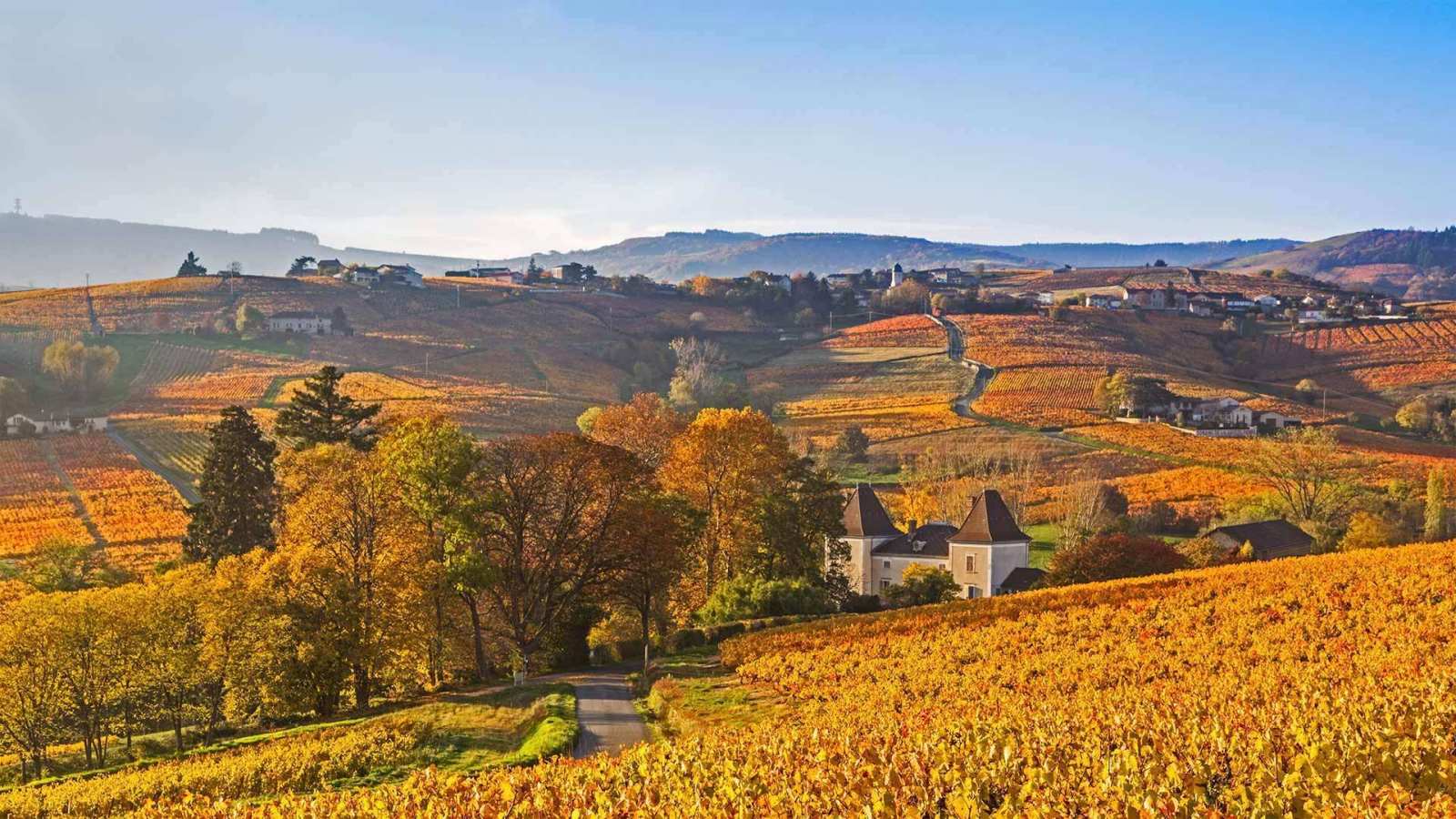 必应壁纸 2019年11月21日 Lantignie的景色，法国博若莱