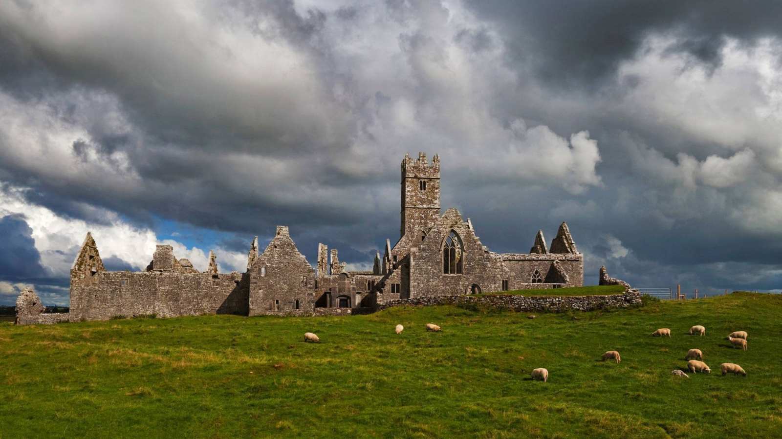 必应壁纸 2018年3月17日 Ross Errilly Friary，爱尔兰戈尔韦郡