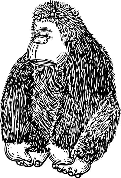 卡通头像