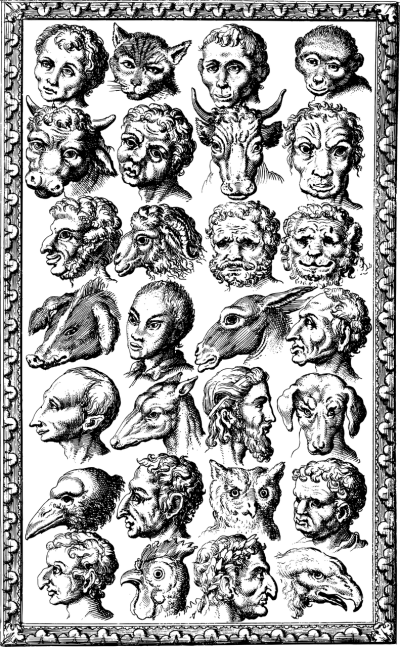 卡通头像
