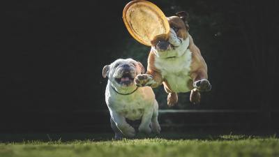 可爱头像