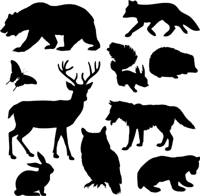 手绘插画头像
