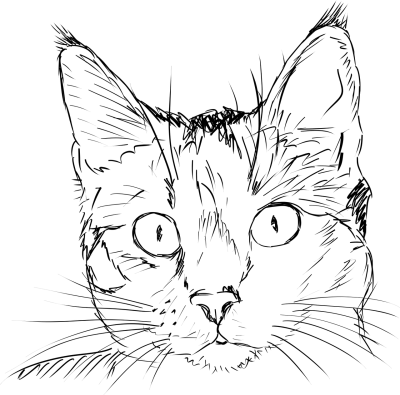 手绘插画头像