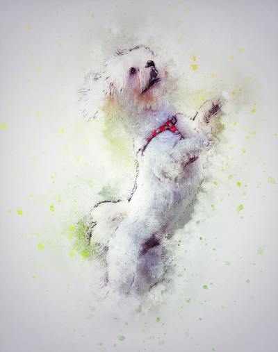 手绘插画头像