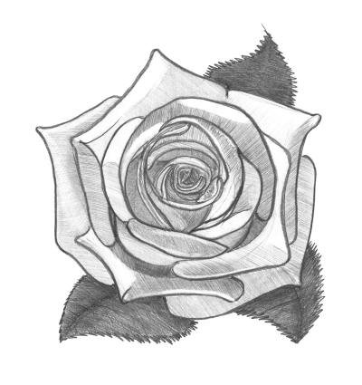 手绘插画头像
