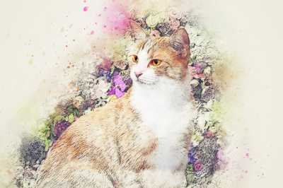 手绘插画头像