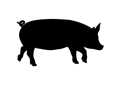 手绘插画头像