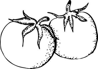手绘插画头像