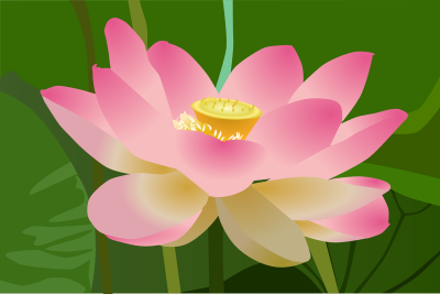 手绘插画头像