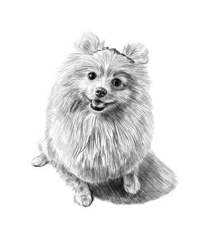 手绘插画头像