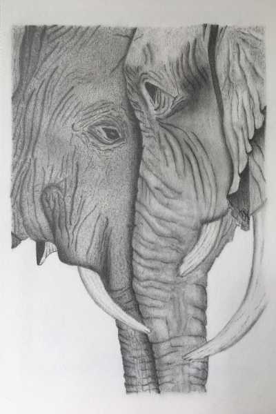 手绘插画头像
