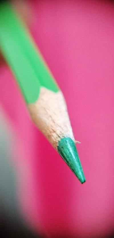 手绘插画头像