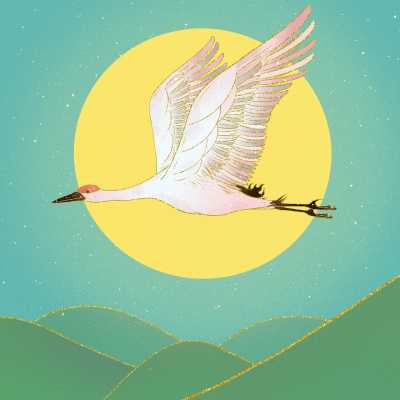 手绘插画头像