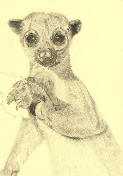 手绘插画头像