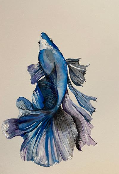 手绘插画头像
