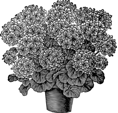 手绘插画头像