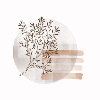 手绘插画头像