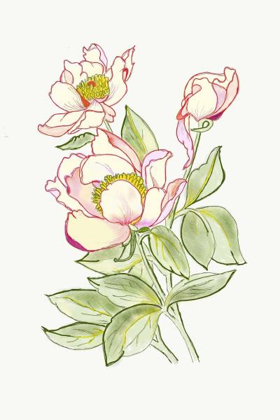 手绘插画头像