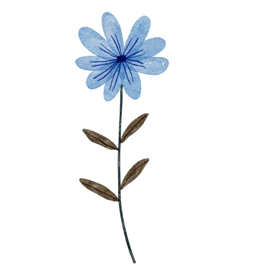 手绘插画头像