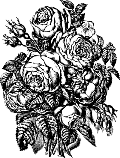 手绘插画头像
