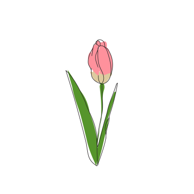 手绘插画头像