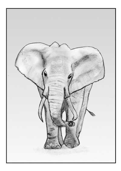 手绘插画头像