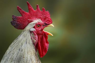 ins风头像