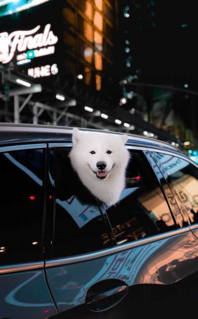 ins风头像