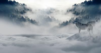 风景头像