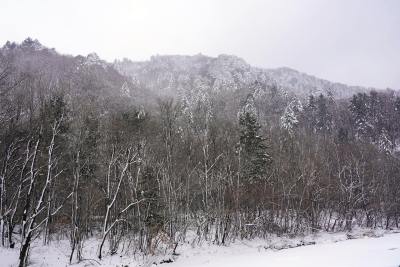 风景头像