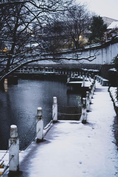 风景头像