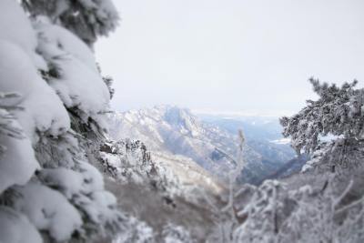 风景头像