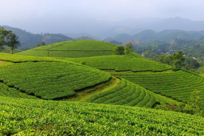 风景头像