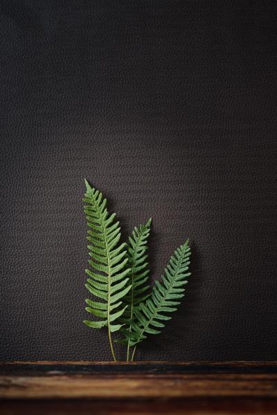 简约线条头像