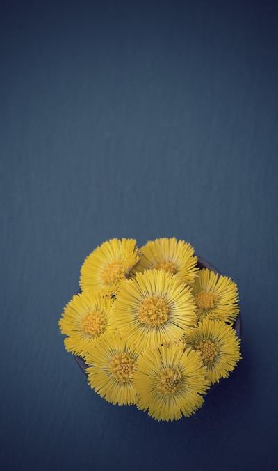 简约线条头像