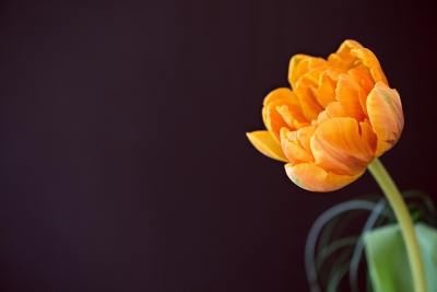 简约线条头像