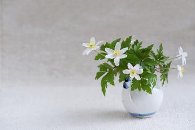 简约线条头像