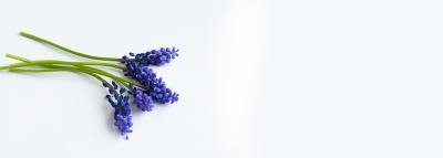简约线条头像