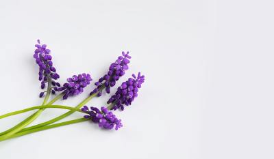 简约线条头像
