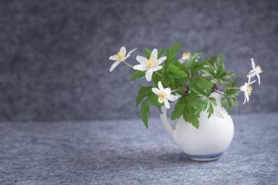 简约线条头像